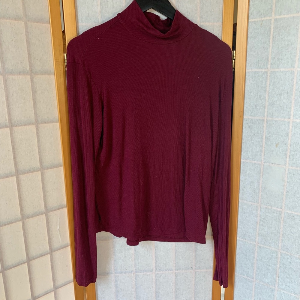 Splendid turtleneck